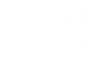 Due South